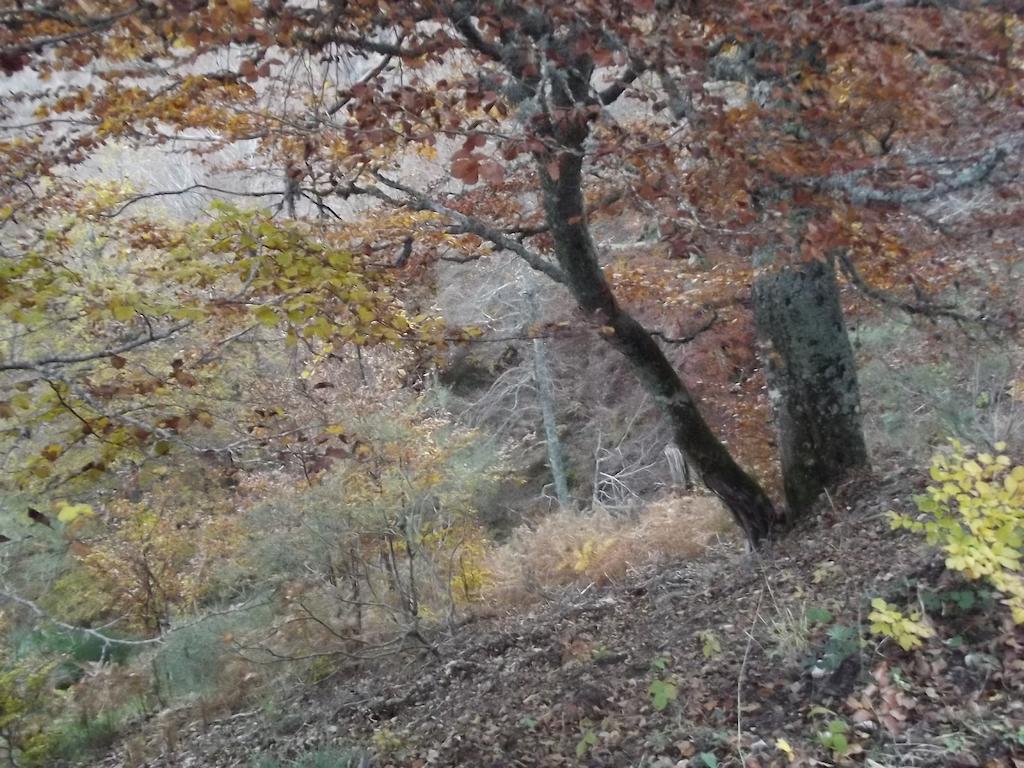 Montana Palentina Ξενοδοχείο Guardo Εξωτερικό φωτογραφία